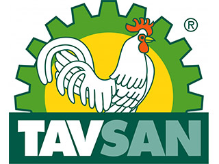 tavsan